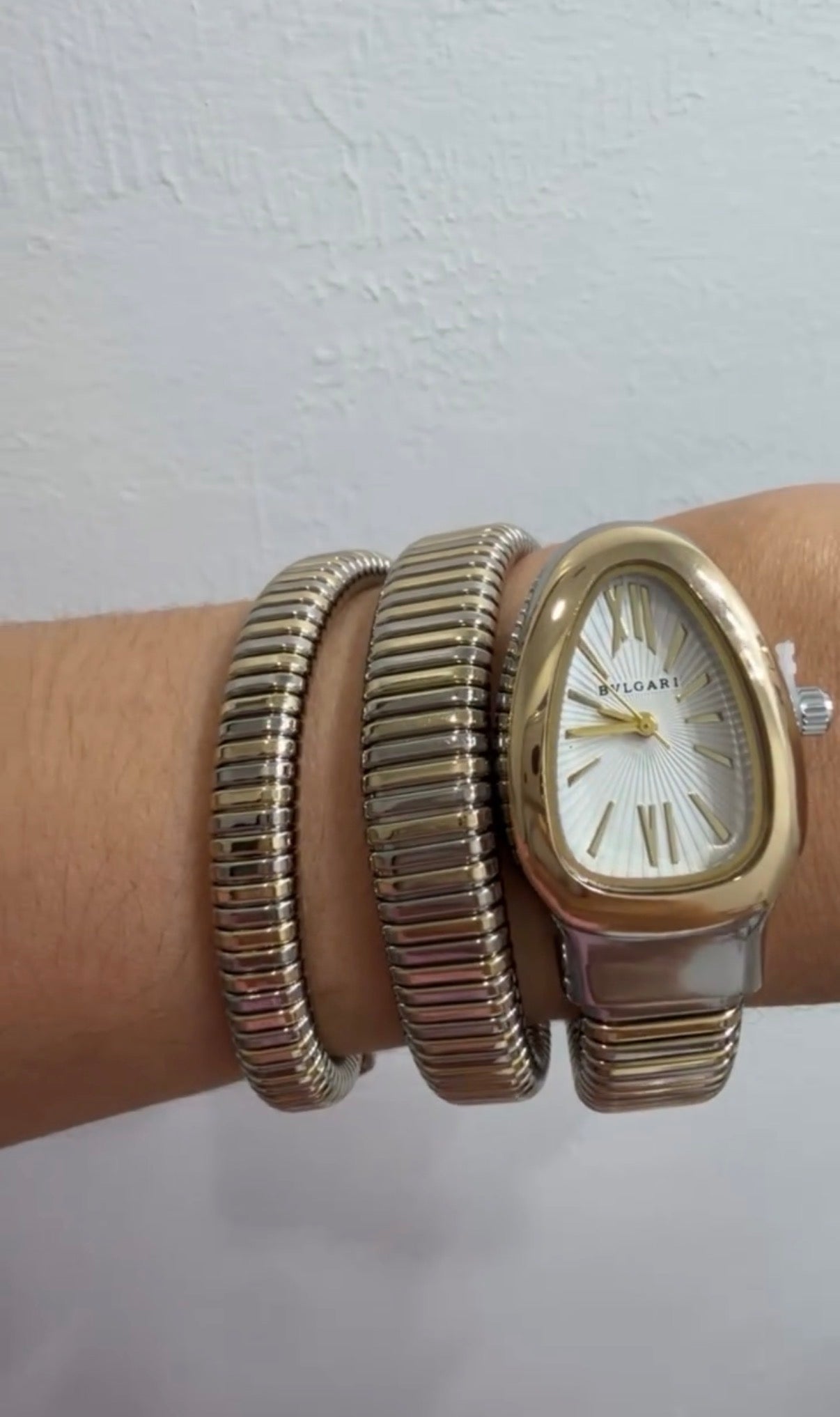 BVLG Watch
