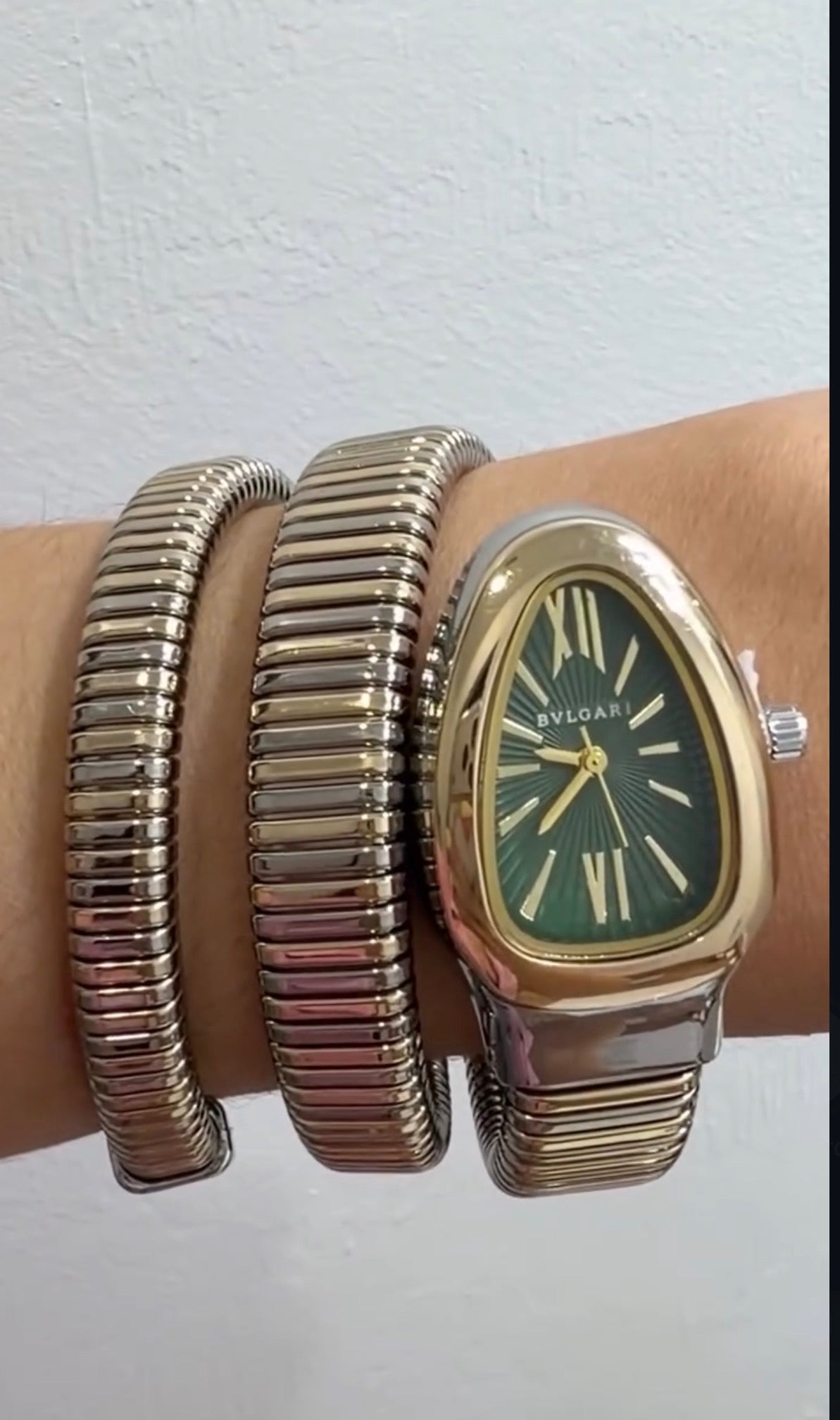 BVLG Watch